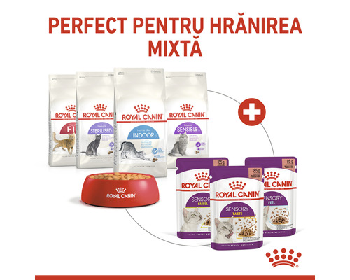 Hrană pentru pisici Royal Canin pentru hrănire mixtă: hrană uscată și umedă