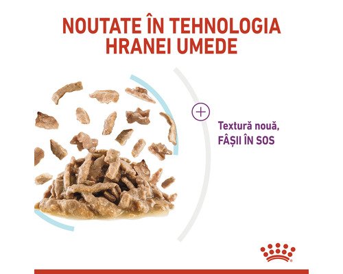 Mâncare pentru pisici Royal Canin cu textură nouă în sos