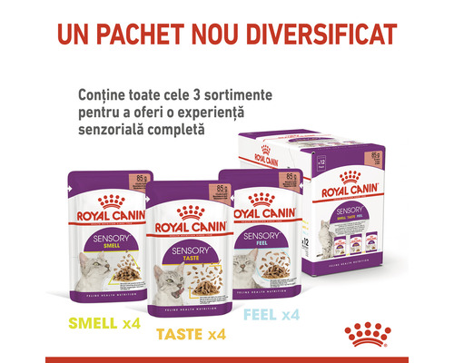 Royal Canin Sensory hrană umedă pentru pisici, pachet multiplu