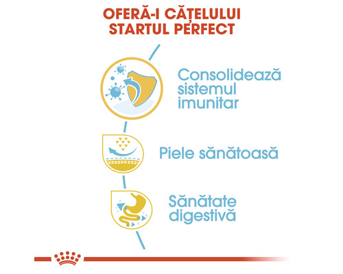 Grafic pentru susținerea sistemului imunitar, sănătatea pielii și digestia la câini