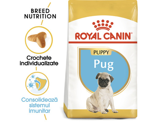 Royal Canin Puppy Pug hrană pentru căței