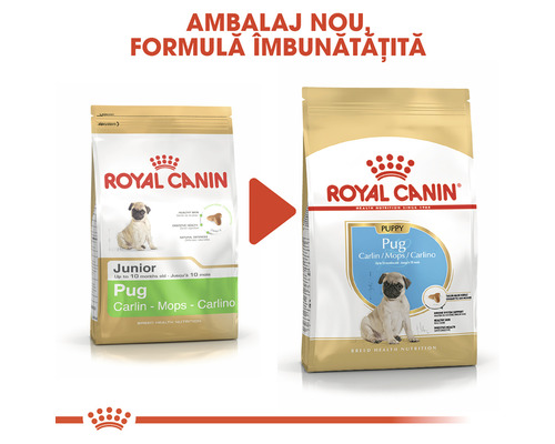 Două pachete de hrană pentru câini Royal Canin Pug, ambalaj vechi și nou.