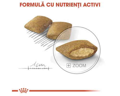 Crochete pentru câini cu nutrienți activi