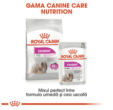 Hrană uscată pentru câini, ROYAL CANIN Mini Exigent 3 kg-thumb-6