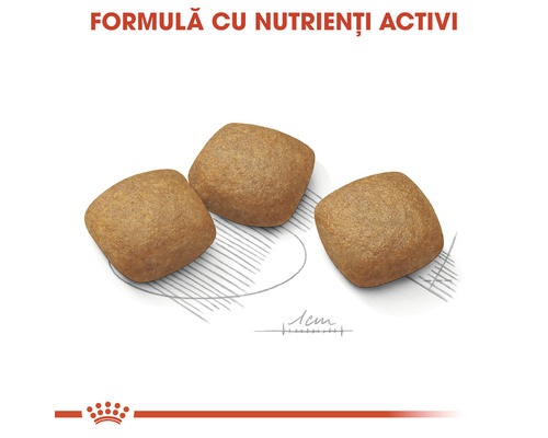 Trei bucăți de mâncare pentru câini