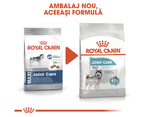 Logo Royal Canin. Două ambalaje de produs Royal Canin Maxi Joint Care hrană pentru câini de talie mare.