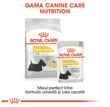 Hrană uscată pentru câini, ROYAL CANIN Dermacomfort Mini, 8 kg-thumb-6