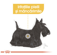 Hrană uscată pentru câini, ROYAL CANIN Dermacomfort Mini, 8 kg-thumb-5