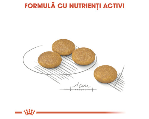 Prim-plan cu hrană uscată pentru câini cu un diametru de un centimetru.