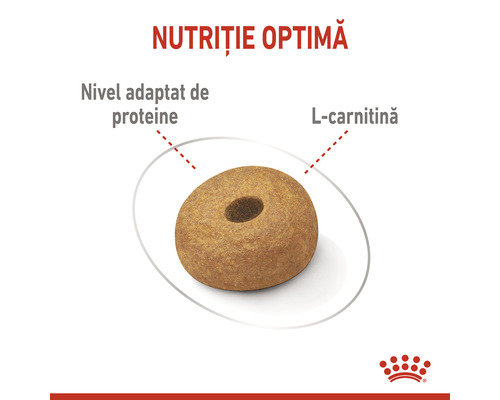 Imagine cu o singură bucată de hrană uscată pentru câini cu referire la conținutul de proteine și L-carnitină.