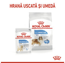 Hrană uscată pentru câini Royal Canin Maxi Light Weight Care Adult 12 kg-thumb-7