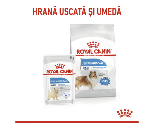 Sigla Royal Canin cu hrană pentru câini pentru hrană uscată și umedă