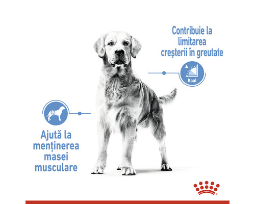 Imagine cu un câine, cu informații despre hrana pentru controlul greutății și menținerea masei musculare