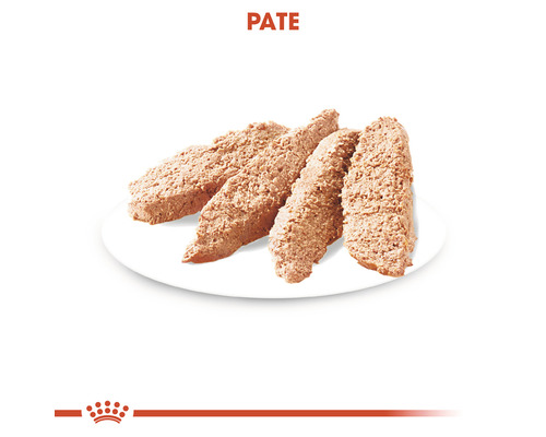 Bucăți de pateu pe o farfurie pentru pisici