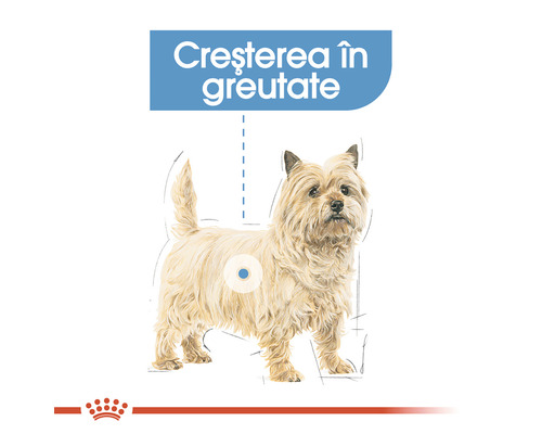 Ilustrație cu un câine pe tema creșterii în greutate