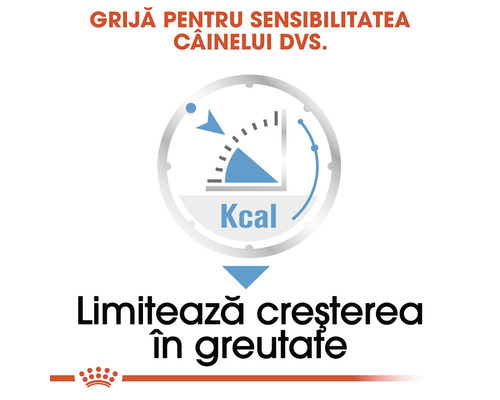 Conținut caloric pentru controlul greutății în hrana pentru câini