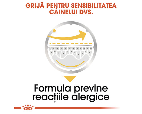 Simbol pentru hrana de câini pentru prevenirea reacțiilor alergice