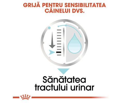 Sănătatea tractului urinar