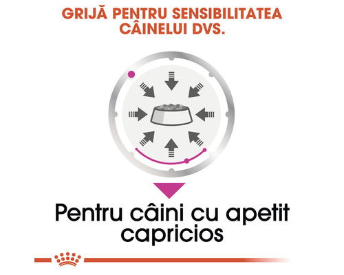 Simbol pentru câini cu apetit capricios