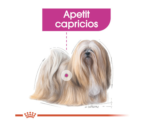 Ilustrație cu un câine Lhasa Apso pentru hrana câinilor