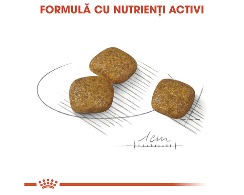 Granule de hrană pentru câini cu formulă de nutrienți
