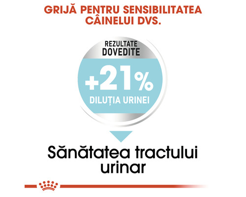 Rezultate pentru diluarea urinei plus 21%