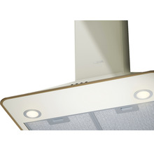 Hota TEKA cu iluminare și filtru metalic