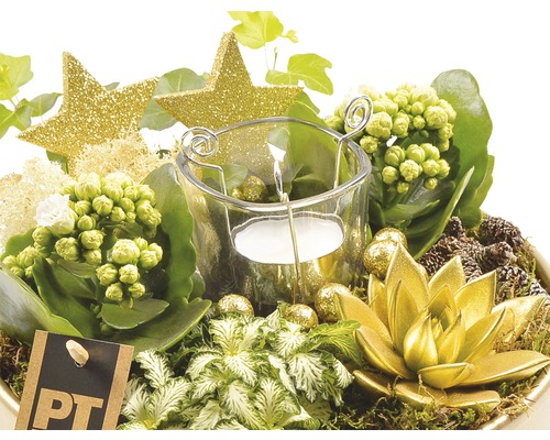 Decorațiune decorativă de masă cu lumânare, stele și plante