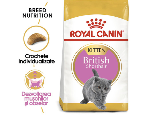 Hrană pentru pisoi Royal Canin pentru pisici British Shorthair