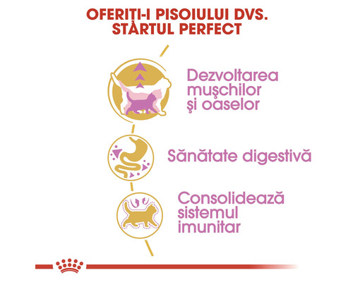 Benefits of this food for cats: muscle and bone development, digestive health, strengthens the immune system.