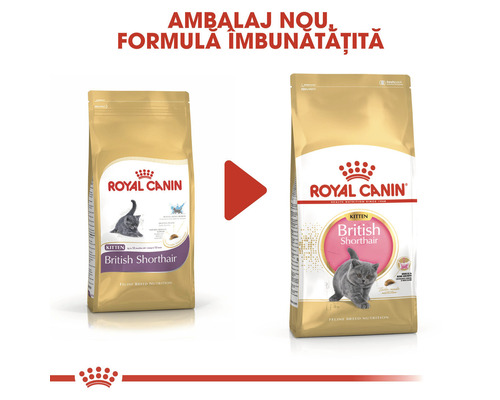 Două pachete de hrană uscată Royal Canin Kitten British Shorthair, ambalaj nou, formulă îmbunătățită