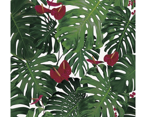 Ilustrație cu frunze de monstera și anthurium roșu