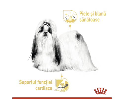 Ilustrație a unui Shih Tzu cu indicații pentru piele și blană sănătoase, precum și susținerea funcției cardiace