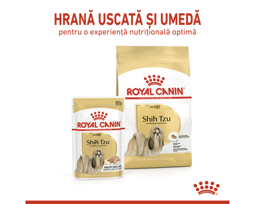 Hrană uscată și umedă Royal Canin pentru câini Shih Tzu adulți