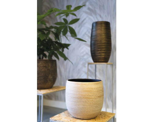 Ghivece decorative pentru plante de diferite dimensiuni și modele pe suporturi de lemn.