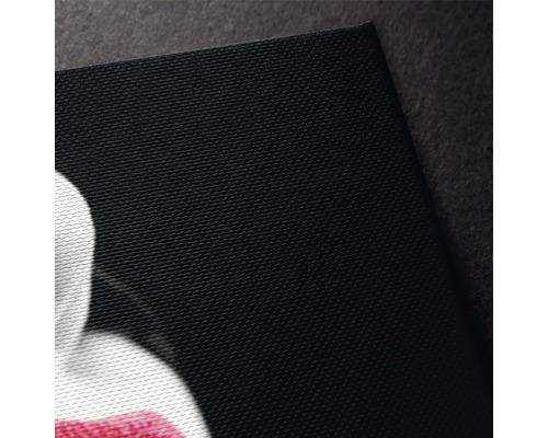 Prim-plan cu pânză