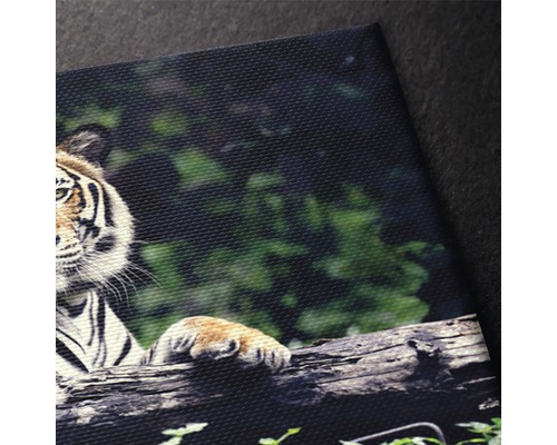 Imagine detaliată a unei picturi pe pânză cu motiv de tigru