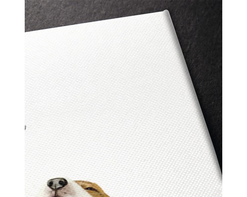 Vizualizare detaliată a unei pânze cu o imagine cu animale