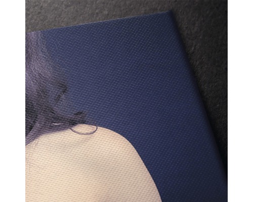 Prim-plan al unei pânze cu un portret