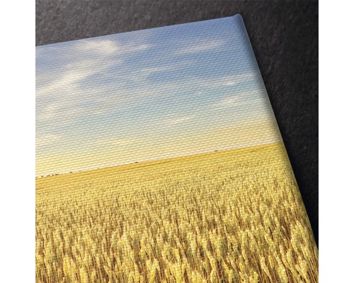 Prim-plan al unei pânze cu motivul unui câmp de grâu sub un cer albastru.