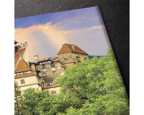 Imagine pe pânză cu vedere la un castel din spatele copacilor