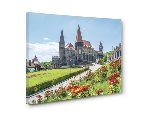 Tablou canvas cu vedere spre castel