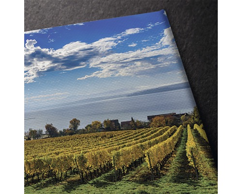 Prim-plan cu o pânză cu motivul unei podgorii sub cer albastru și nori