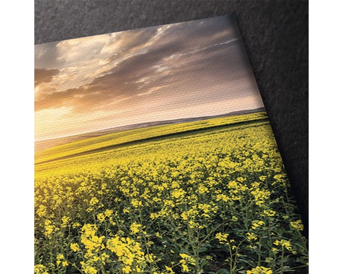 Prim-plan al unei imprimate pe pânză cu o imagine a unui câmp de rapiță sub un cer înnorat