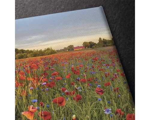 Imprimare pe pânză cu motiv de flori de câmp