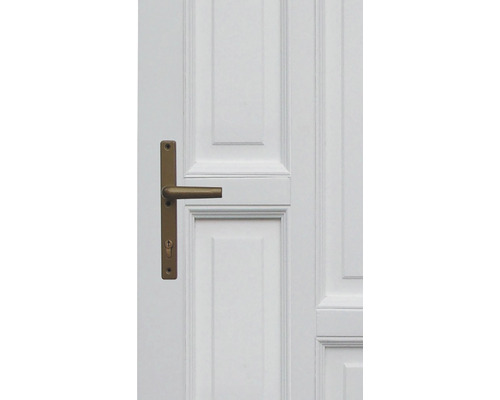 Ușă albă cu clanță aurie