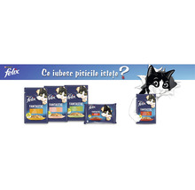 Hrană umedă pentru pisici PURINA Felix Fantastic cu vită în aspic 85 g-thumb-3
