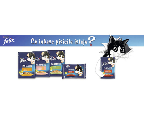 Gama de produse alimentare pentru pisici Felix Fantastic cu o pisică care se uită afară din ambalaj