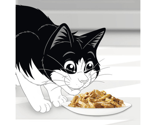 Ilustrație cu o pisică în fața unui castron cu hrană pentru pisici