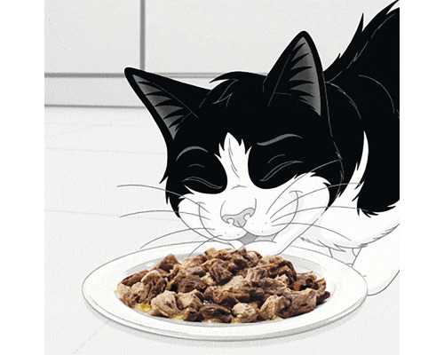 Pisică cu castron pentru mâncare